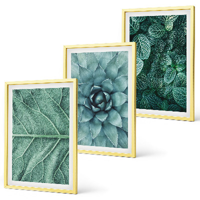 Cadre photo mural Gros plan sur des feuilles de plante