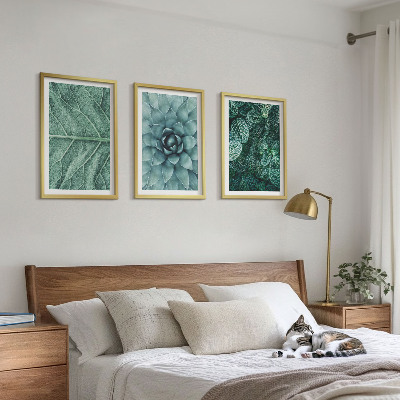Cadre photo mural Gros plan sur des feuilles de plante