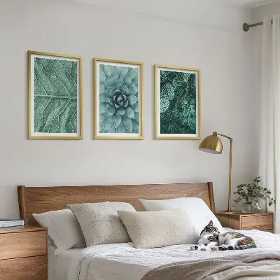 Cadre photo mural motif feuilles de plante en gros plan