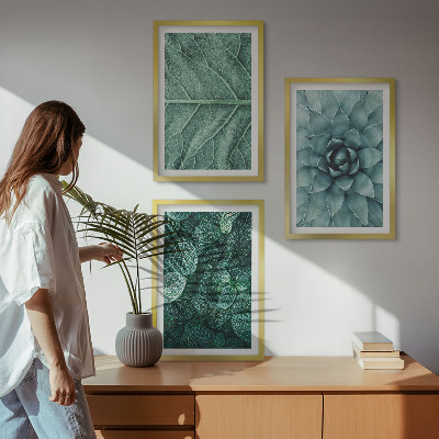 Cadre photo mural Gros plan sur des feuilles de plante
