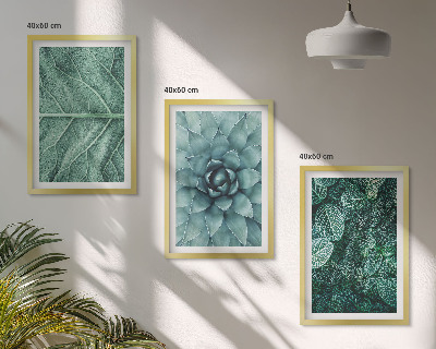 Cadre photo mural Gros plan sur des feuilles de plante