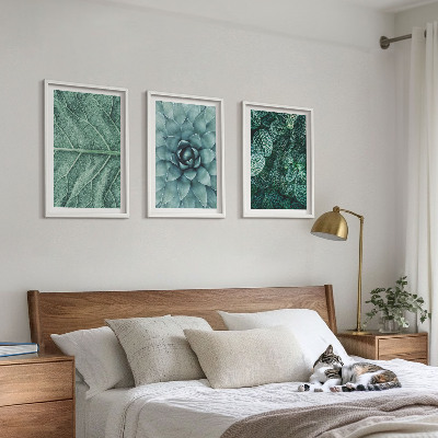 Cadre photo mural Gros plan sur des feuilles de plante