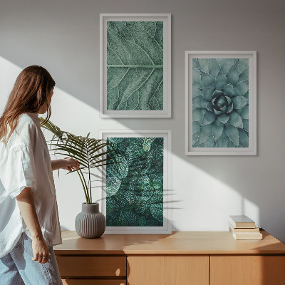 Cadre photo mural Gros plan sur des feuilles de plante