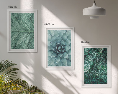 Cadre photo mural Gros plan sur des feuilles de plante
