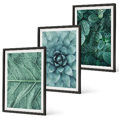 Cadre photo mural Gros plan sur des feuilles de plante