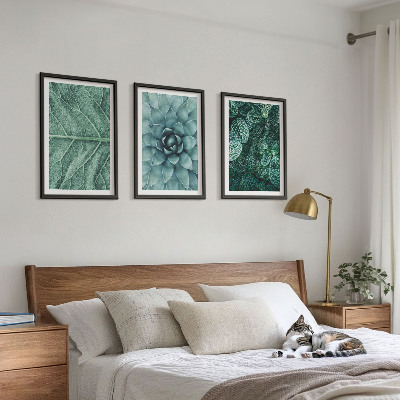 Cadre photo mural Gros plan sur des feuilles de plante