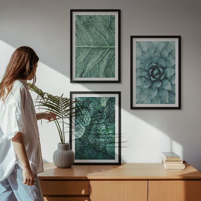 Cadre photo mural Gros plan sur des feuilles de plante