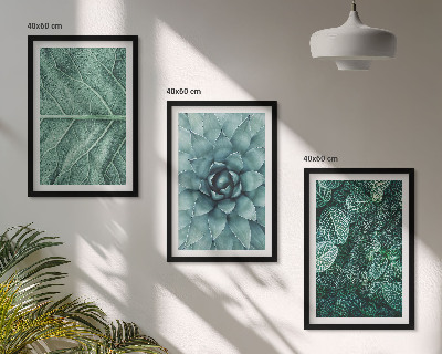 Cadre photo mural Gros plan sur des feuilles de plante