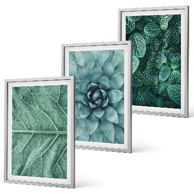 Cadre photo mural Gros plan sur des feuilles de plante