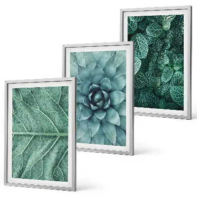 Cadre photo mural motif feuilles de plante en gros plan