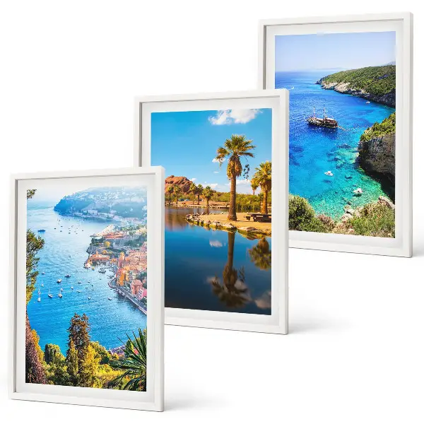 Cadre photo mural palmiers en bord de mer avec eau bleue