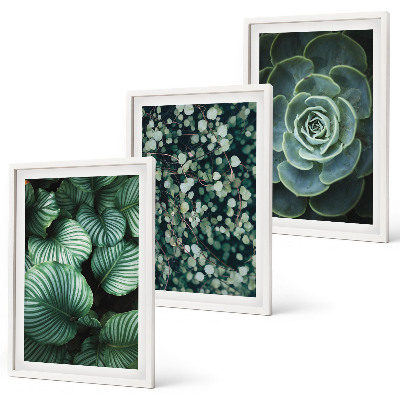 Lot de 3 tableaux pour salon Style succulentes à feuilles vertes