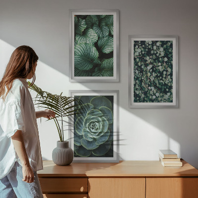 Lot de 3 tableaux pour salon Style succulentes à feuilles vertes