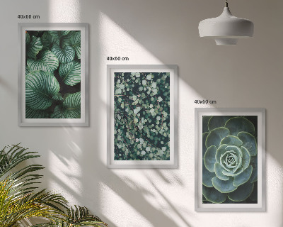 Lot de 3 tableaux pour salon Style succulentes à feuilles vertes