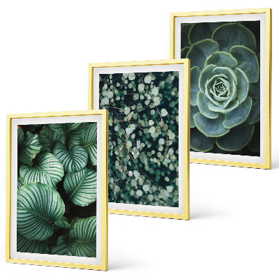 Lot de 3 tableaux pour salon Style succulentes à feuilles vertes
