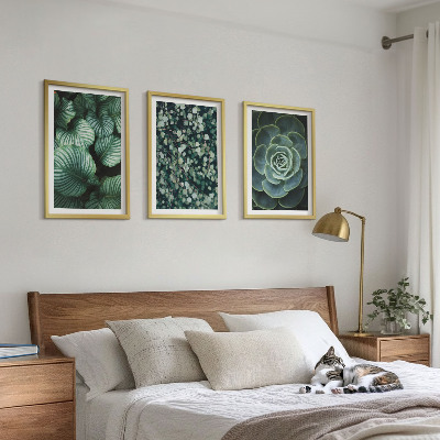Lot de 3 tableaux pour salon Style succulentes à feuilles vertes