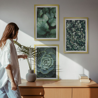 Lot de 3 tableaux pour salon Style succulentes à feuilles vertes