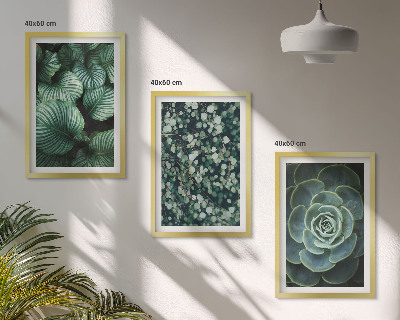 Lot de 3 tableaux pour salon Style succulentes à feuilles vertes