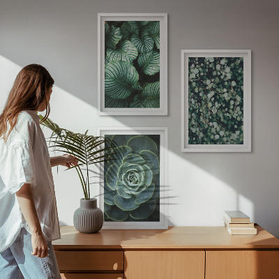Lot de 3 tableaux pour salon Style succulentes à feuilles vertes