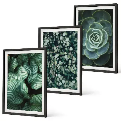 Lot de 3 tableaux pour salon avec motif de succulentes à feuilles vertes
