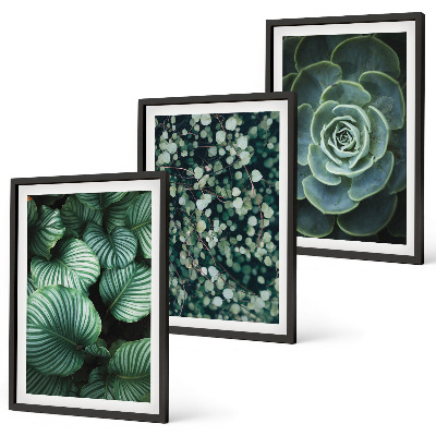 Lot de 3 tableaux pour salon Style succulentes à feuilles vertes