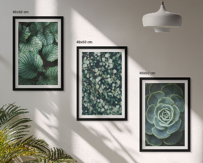 Lot de 3 tableaux pour salon Style succulentes à feuilles vertes