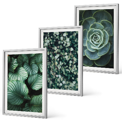 Lot de 3 tableaux pour salon Style succulentes à feuilles vertes