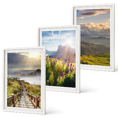 Lot de 3 tableaux pour salon Paysage de montagne avec des fleurs