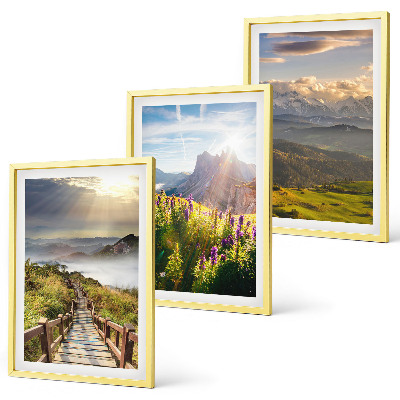 Lot de 3 tableaux pour salon Paysage de montagne avec des fleurs