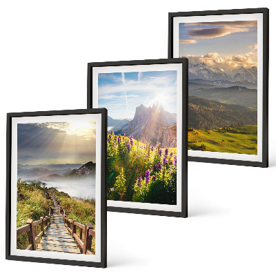 Lot de 3 tableaux pour salon Paysage de montagne avec des fleurs