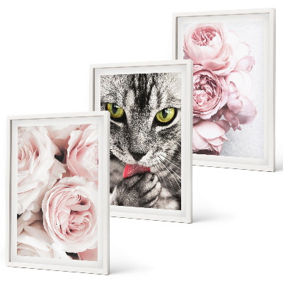 Cadre photo mural Chat dans des fleurs roses