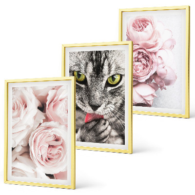 Cadre photo mural Chat dans des fleurs roses