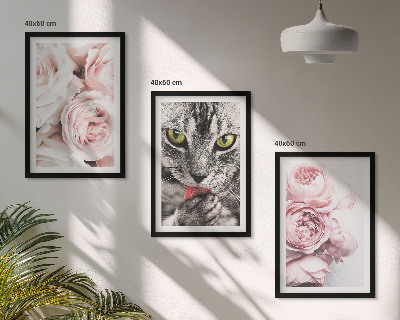 Cadre photo mural Chat dans des fleurs roses