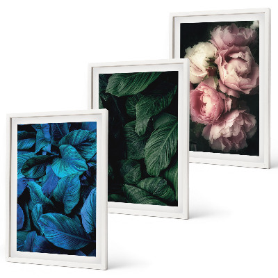 Cadre photo mural Feuilles, fleurs, couleurs différentes