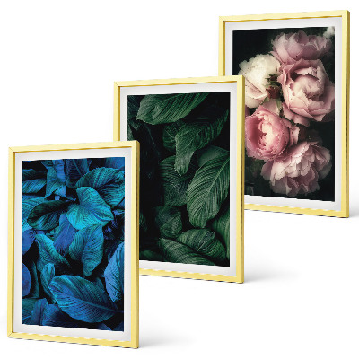 Cadre photo mural Feuilles, fleurs, couleurs différentes