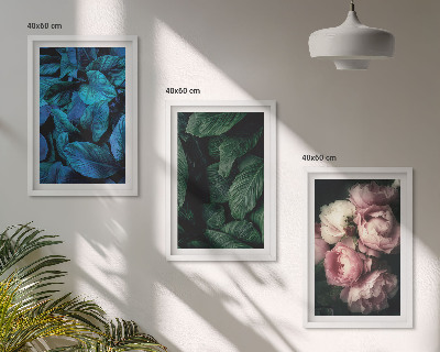 Cadre photo mural Feuilles, fleurs, couleurs différentes