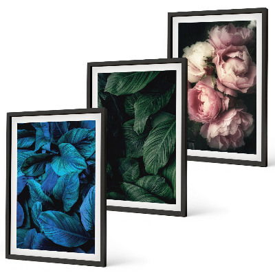 Cadre photo mural Feuilles, fleurs, couleurs différentes