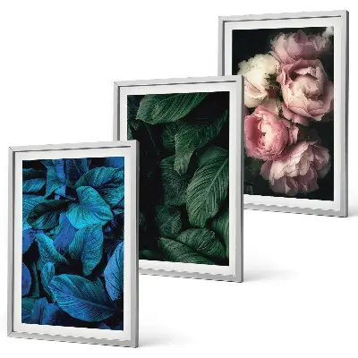 Cadre photo mural avec motif de feuilles et de fleurs en divers coloris