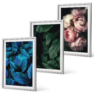 Cadre photo mural Feuilles, fleurs, couleurs différentes
