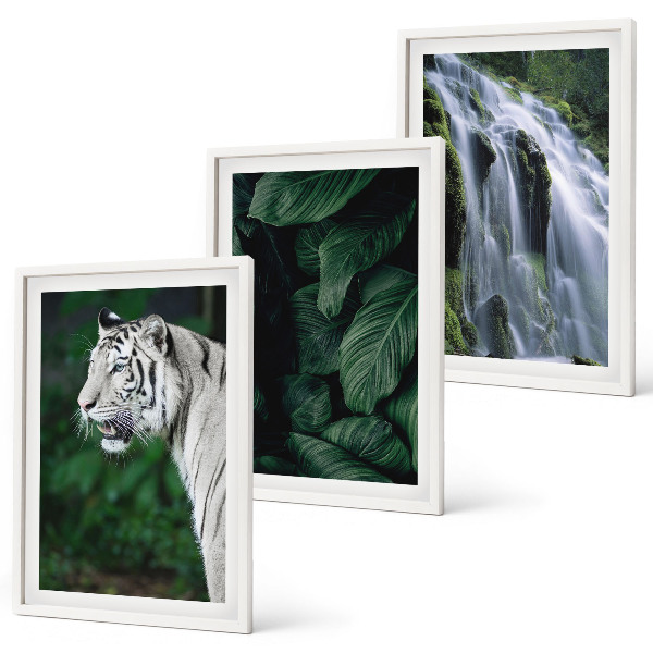 Lot de 3 tableaux pour salon Le tigre blanc laisse une cascade