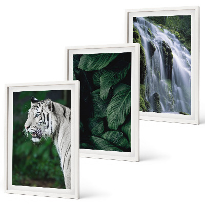 Lot de 3 tableaux pour salon Le tigre blanc laisse une cascade