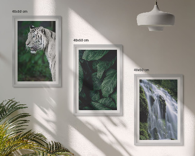 Lot de 3 tableaux pour salon Le tigre blanc laisse une cascade
