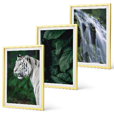 Lot de 3 tableaux pour salon Le tigre blanc laisse une cascade