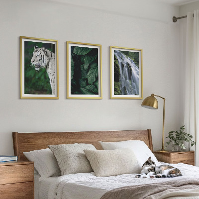 Lot de 3 tableaux pour salon Le tigre blanc laisse une cascade