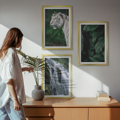 Lot de 3 tableaux pour salon Le tigre blanc laisse une cascade