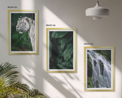 Lot de 3 tableaux pour salon Le tigre blanc laisse une cascade