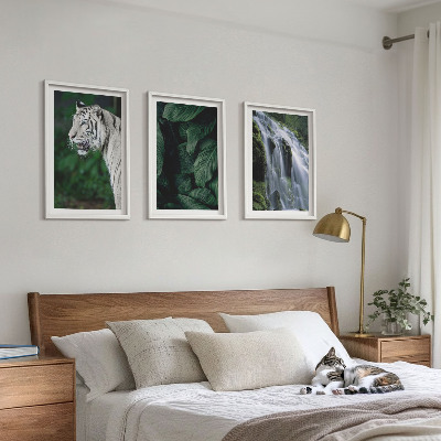 Lot de 3 tableaux pour salon Le tigre blanc laisse une cascade