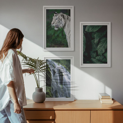 Lot de 3 tableaux pour salon Le tigre blanc laisse une cascade