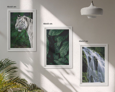 Lot de 3 tableaux pour salon Le tigre blanc laisse une cascade