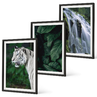 Lot de 3 tableaux pour salon Le tigre blanc laisse une cascade
